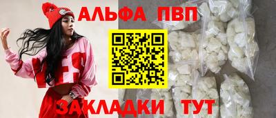 эйфоретик Кингисепп