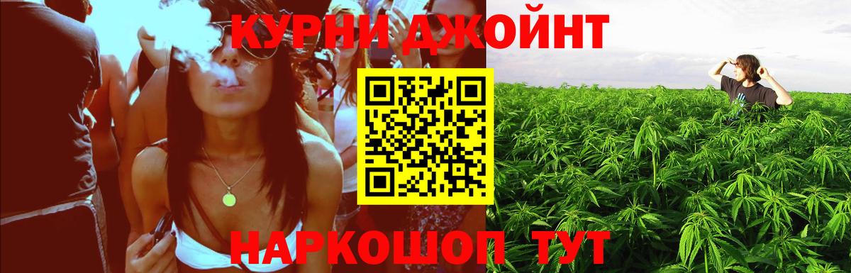 Конопля SATIVA & INDICA Арзамас